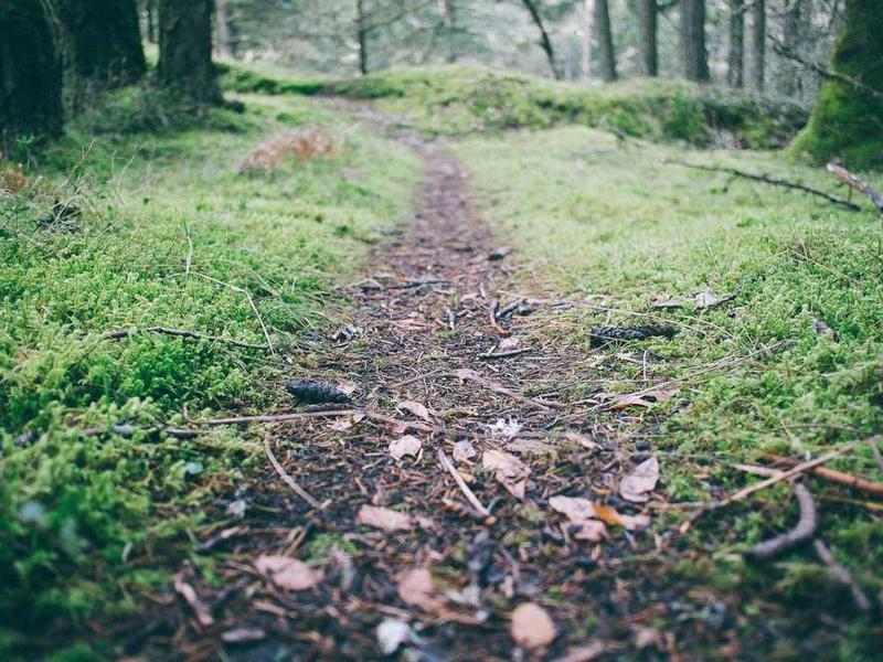 Hotel Downtown Buenos Aires